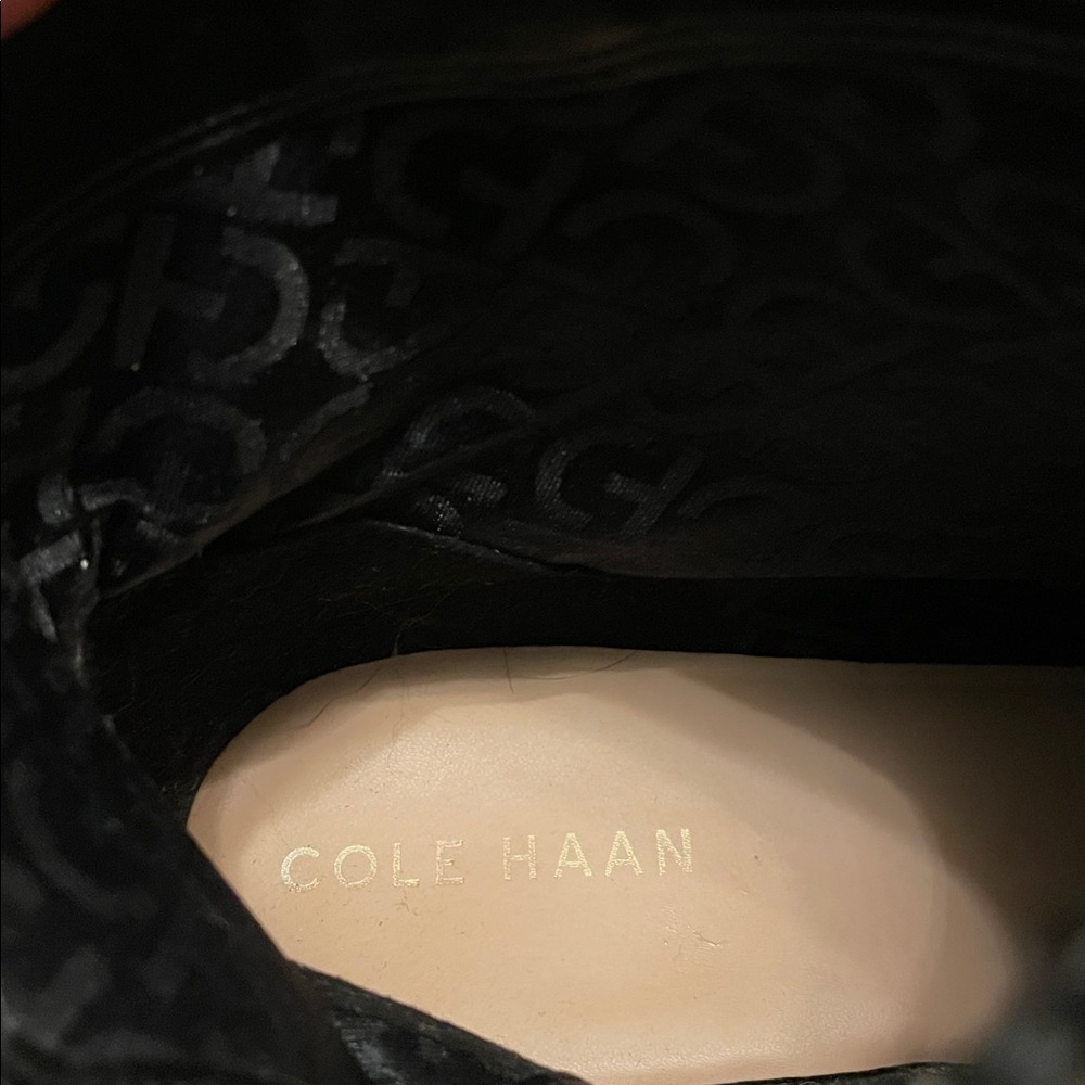 Cole Haan Black Leather Ankle Boots with Gold Buckle Detail - Picture 2 of 9